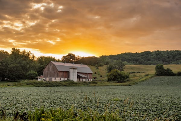 Potts Branch Creek Farm